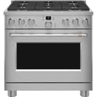 6.2 CuFt Gas Range - SS