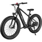 750W Electric Bike for Adults