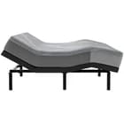 Sealy 53105951/63017751