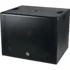 15" Professional Passive Subwoofer