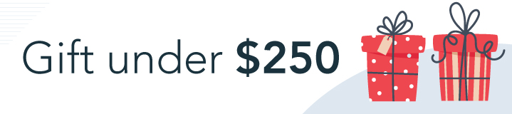 Gifts Less Than $250